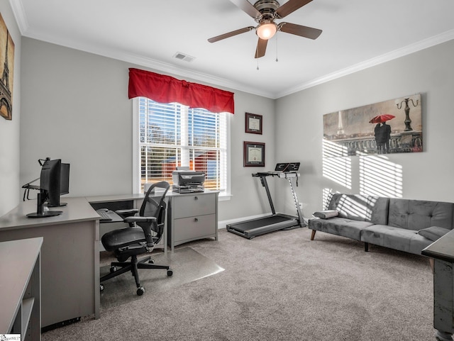 carpeted home office featuring visible vents, ornamental molding, and a ceiling fan