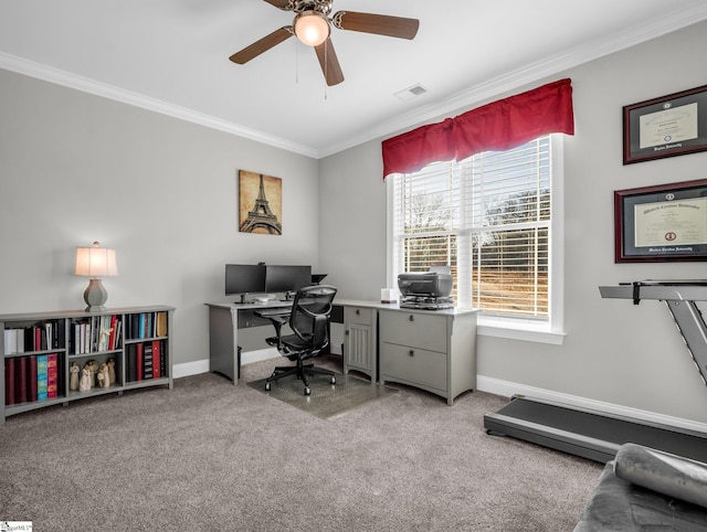 office space featuring crown molding, carpet flooring, visible vents, and ceiling fan