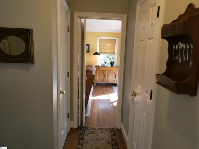 hallway with dark wood-style floors