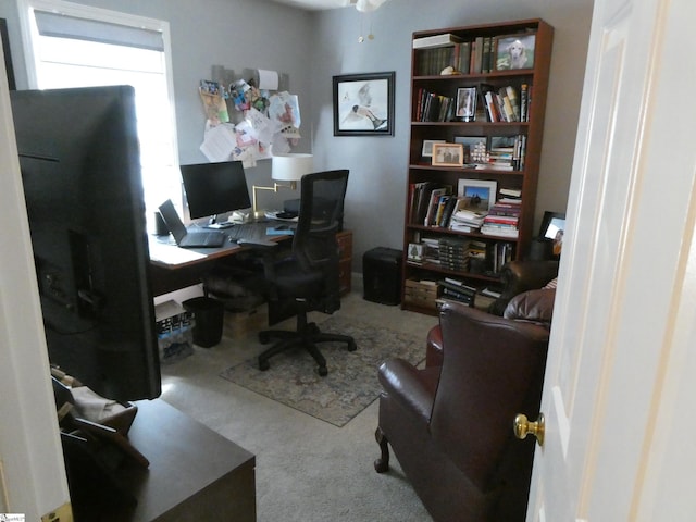 office featuring carpet flooring