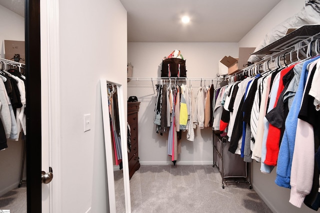 walk in closet with carpet flooring