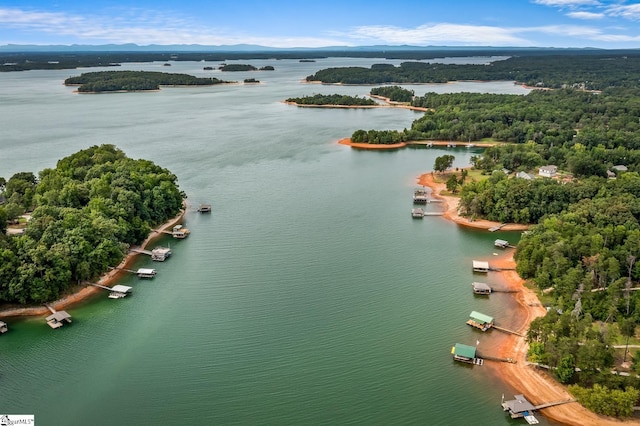 birds eye view of property with a forest view and a water view