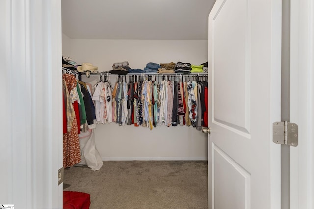 spacious closet featuring carpet flooring