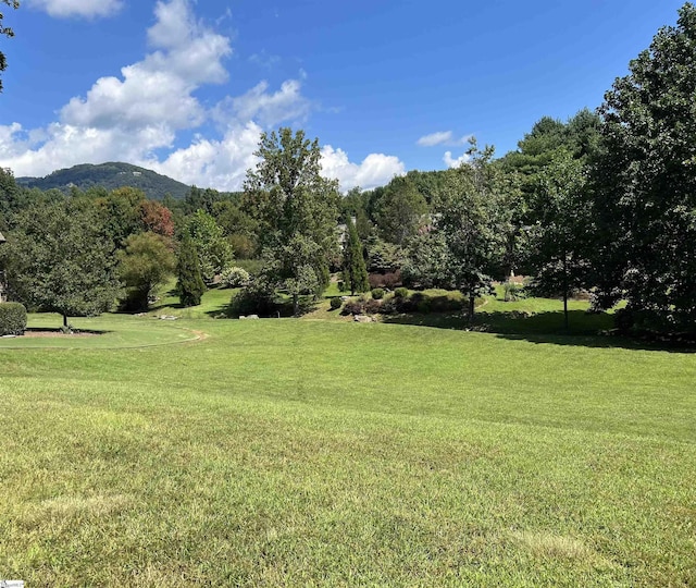 view of yard with a mountain view