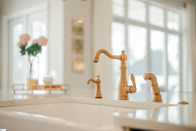 interior details with a sink