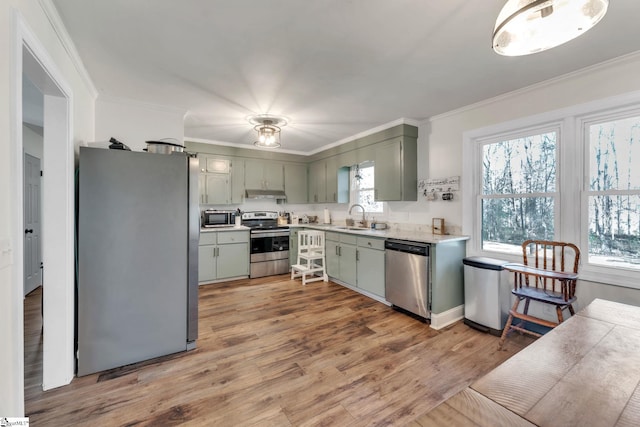 kitchen featuring light wood-type flooring, under cabinet range hood, a sink, appliances with stainless steel finishes, and green cabinetry