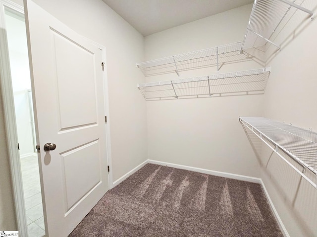 walk in closet with carpet flooring