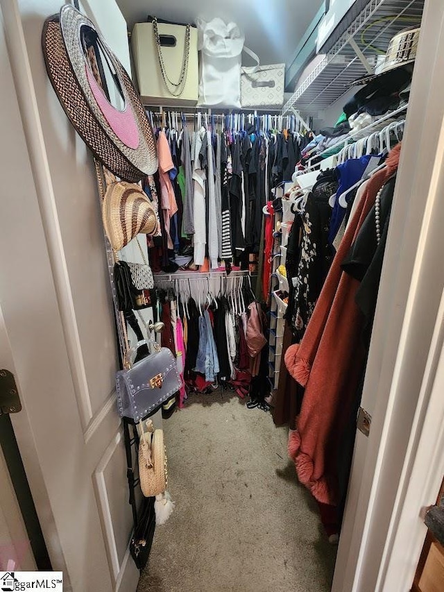 walk in closet with carpet