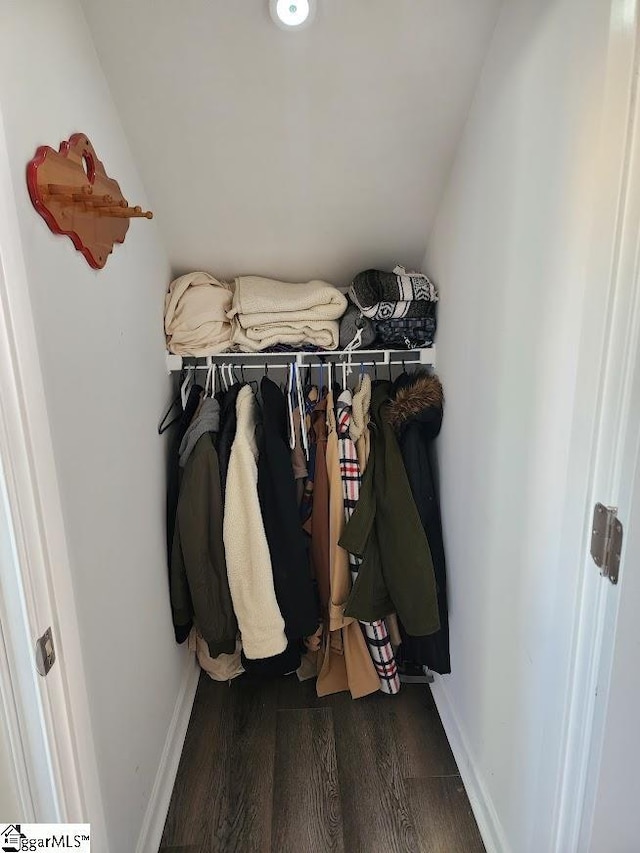 view of closet