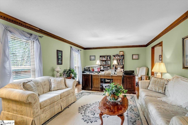 living area with a textured ceiling, light wood-style flooring, and crown molding