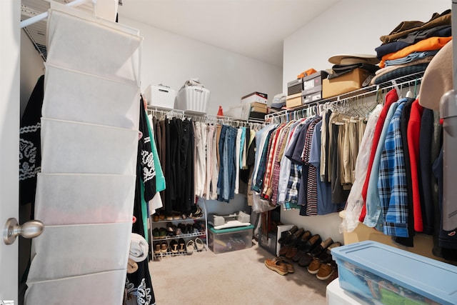 walk in closet with carpet floors