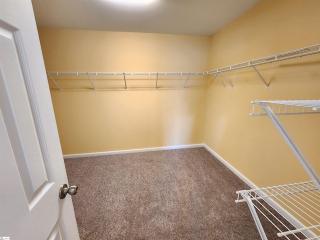 spacious closet with carpet floors