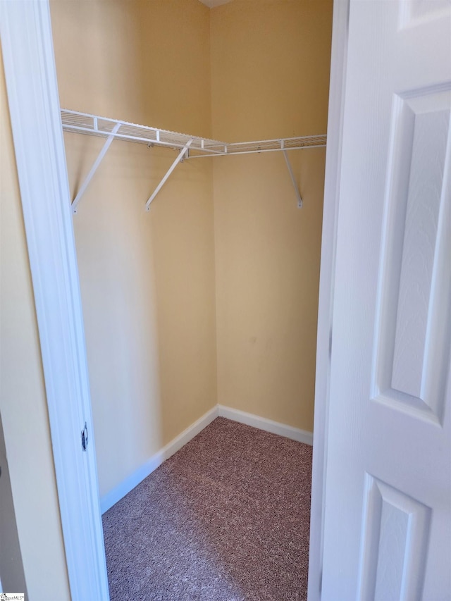 spacious closet with carpet