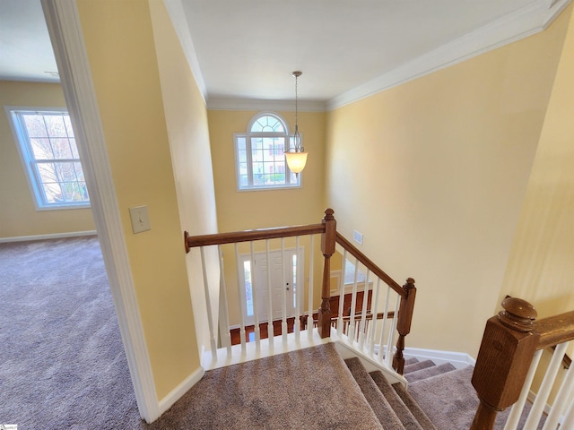 stairway featuring crown molding, carpet flooring, and baseboards
