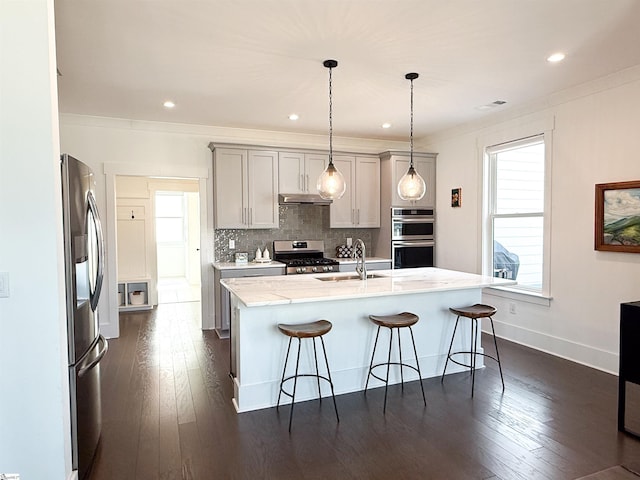 kitchen featuring backsplash, under cabinet range hood, plenty of natural light, stainless steel appliances, and a sink