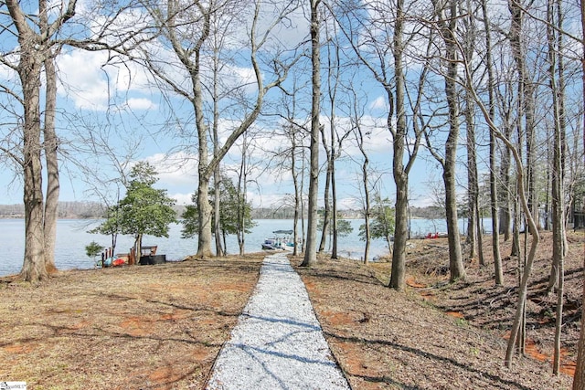 exterior space featuring a dock and a water view