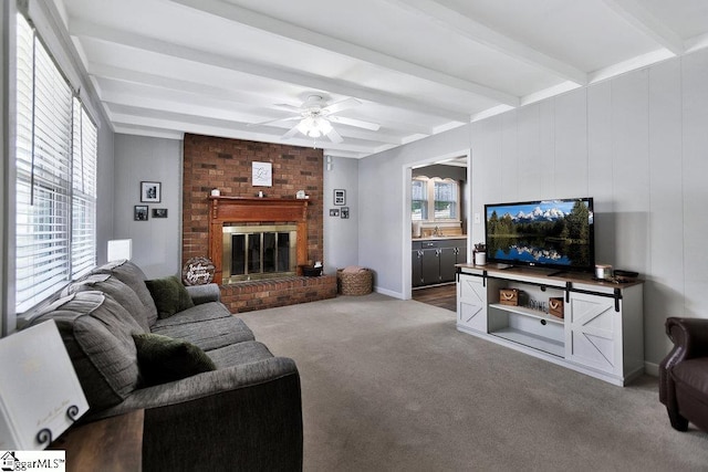 carpeted living room featuring a ceiling fan, beam ceiling, a brick fireplace, and a healthy amount of sunlight