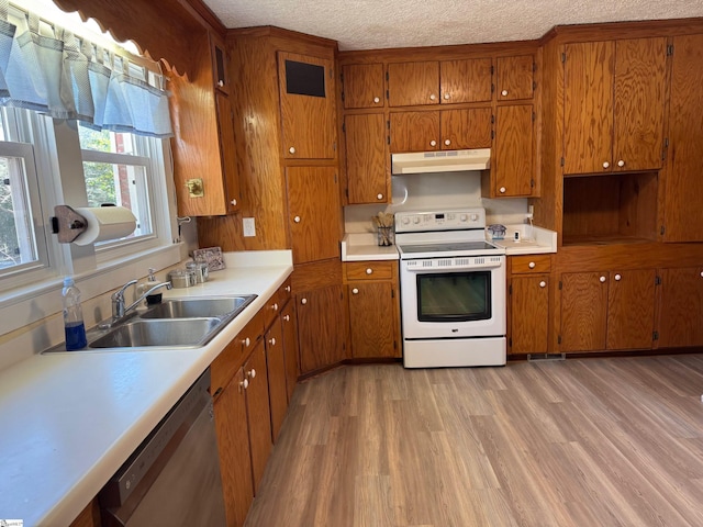 kitchen with a sink, brown cabinets, under cabinet range hood, and white range with electric cooktop