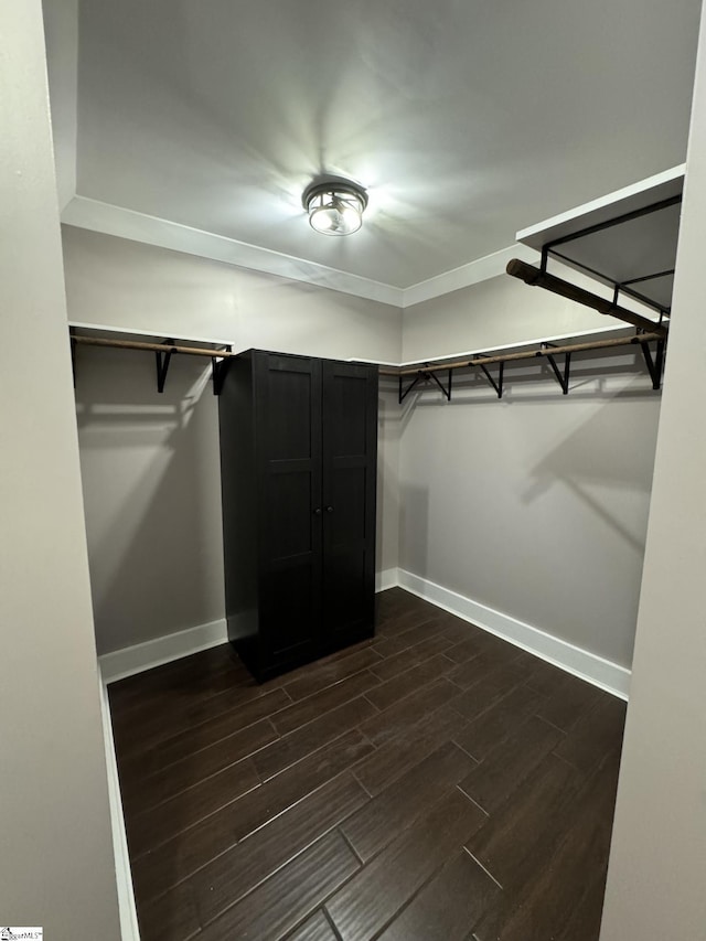 walk in closet featuring dark wood finished floors