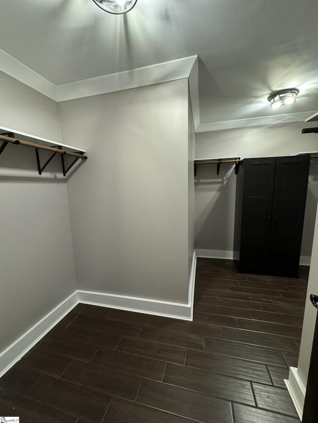 spacious closet featuring wood tiled floor