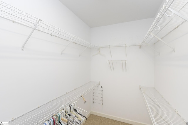 walk in closet with light colored carpet