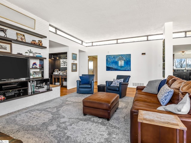 145 Dickson Rd, Campobello, SC 29322 - living area featuring visible vents, a textured ceiling, and wood finished floors