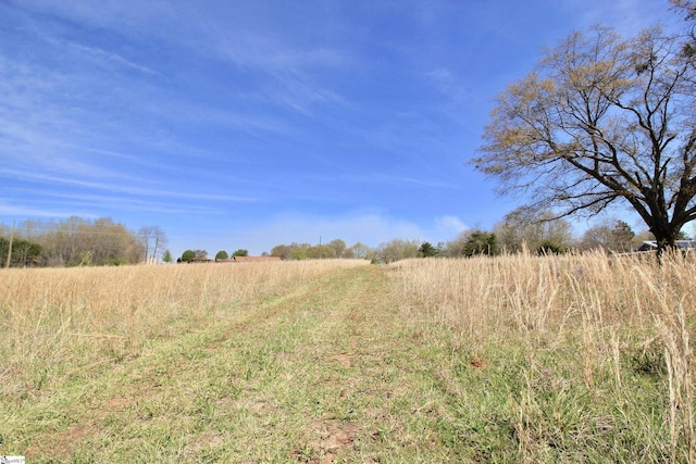 390 Old Mill Rd, Chesnee, SC 29323 - view of nature featuring a rural view
