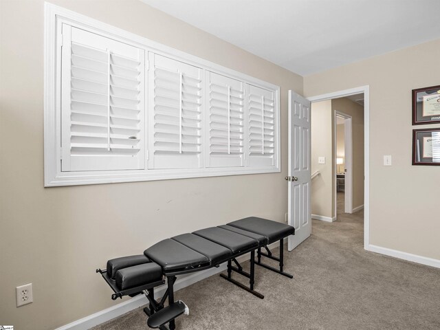 exercise room featuring baseboards and carpet floors