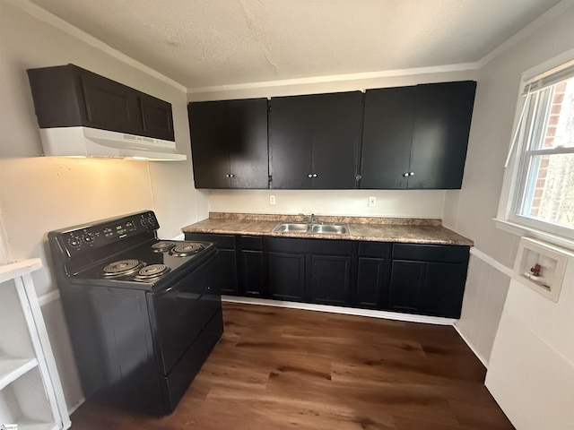 kitchen featuring under cabinet range hood, a sink, black range with electric cooktop, dark cabinets, and dark wood-style flooring