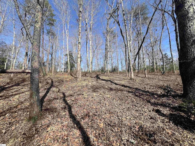 385 Country Oak Rd, Chesnee, SC 29323