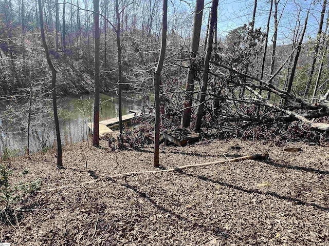 385 Country Oak Rd, Chesnee, SC 29323
