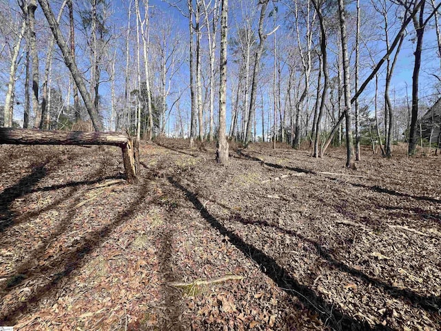 385 Country Oak Rd, Chesnee, SC 29323