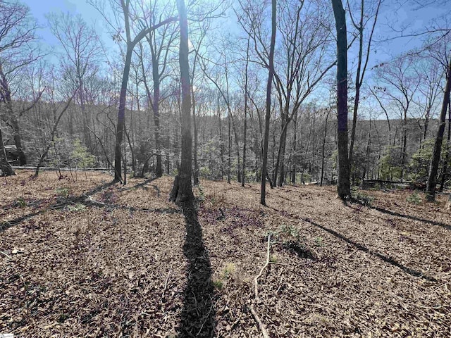 385 Country Oak Rd, Chesnee, SC 29323