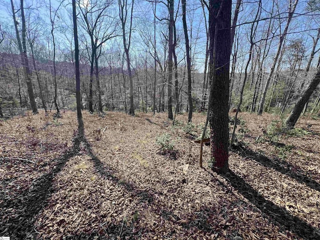 385 Country Oak Rd, Chesnee, SC 29323