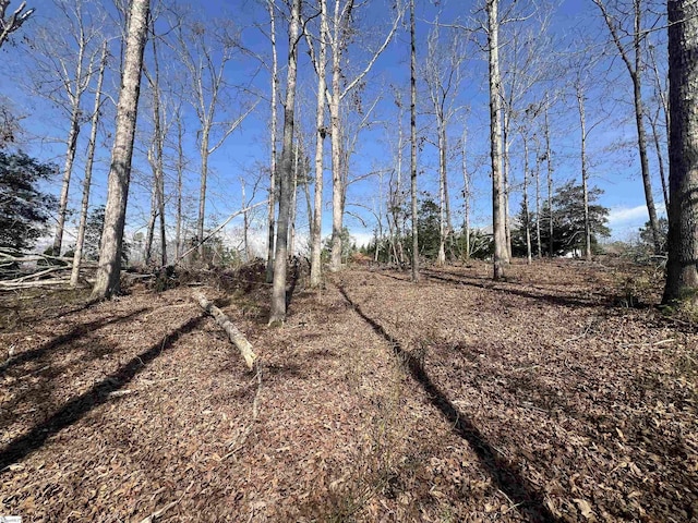 385 Country Oak Rd, Chesnee, SC 29323