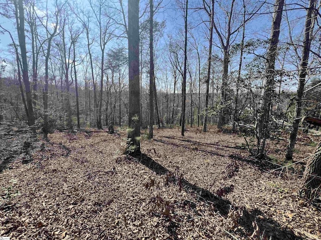 385 Country Oak Rd, Chesnee, SC 29323
