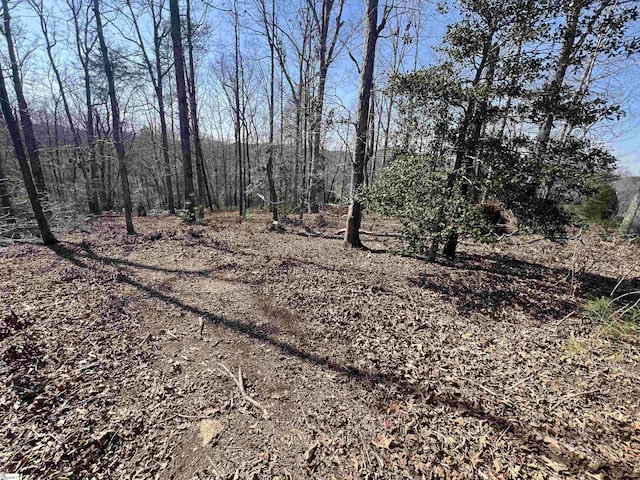 385 Country Oak Rd, Chesnee, SC 29323
