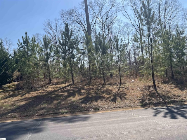 385 Country Oak Rd, Chesnee, SC 29323