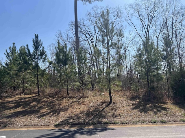 385 Country Oak Rd, Chesnee, SC 29323
