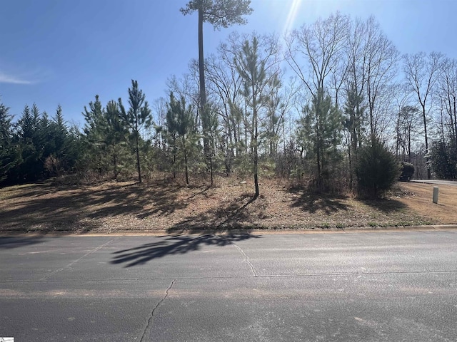 385 Country Oak Rd, Chesnee, SC 29323