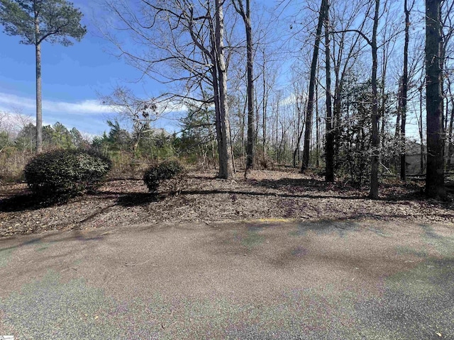 385 Country Oak Rd, Chesnee, SC 29323
