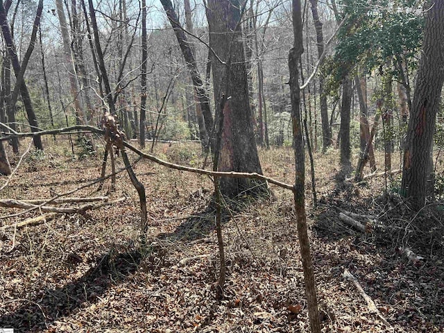 385 Country Oak Rd, Chesnee, SC 29323