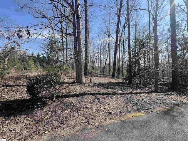385 Country Oak Rd, Chesnee, SC 29323