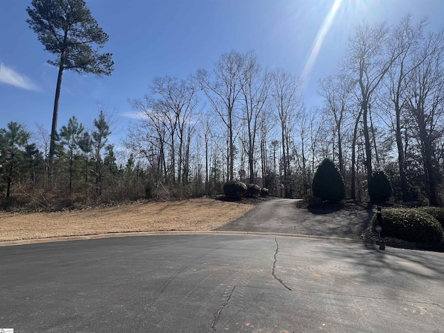 385 Country Oak Rd, Chesnee, SC 29323