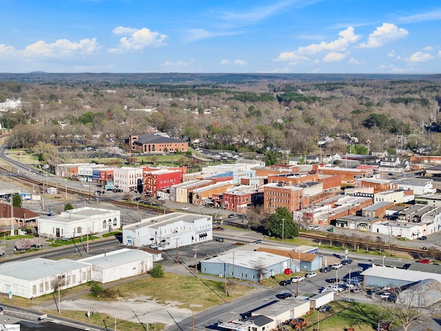 222 Poplar St, Gaffney, SC 29341 - drone / aerial view