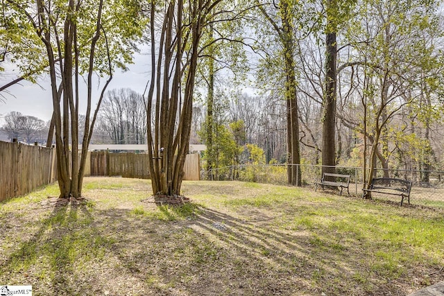 506 Glenn Rd, Greenville, SC 29607 - view of yard