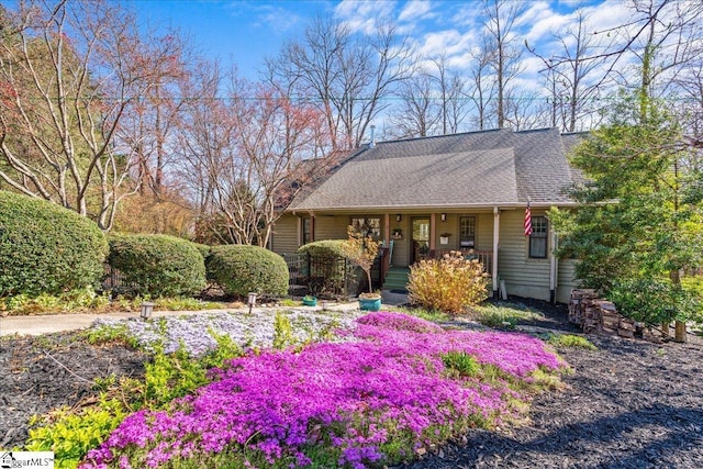 ranch-style home with covered porch and a shingled roof