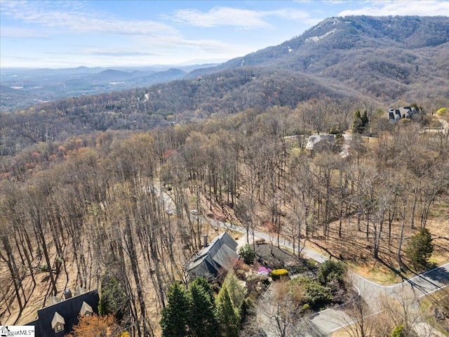 bird's eye view with a forest view and a mountain view