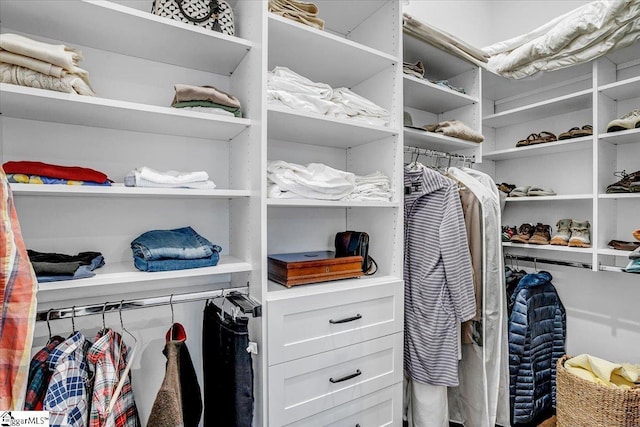 view of walk in closet