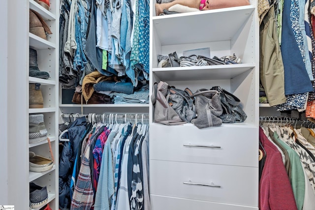 view of walk in closet